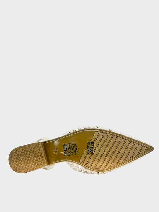 Ballerine con punta- BA2601