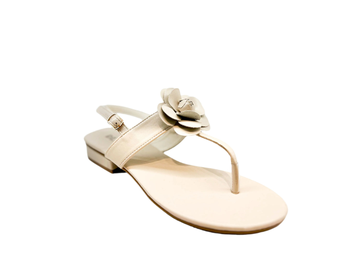 Flat Sandals - SA2421