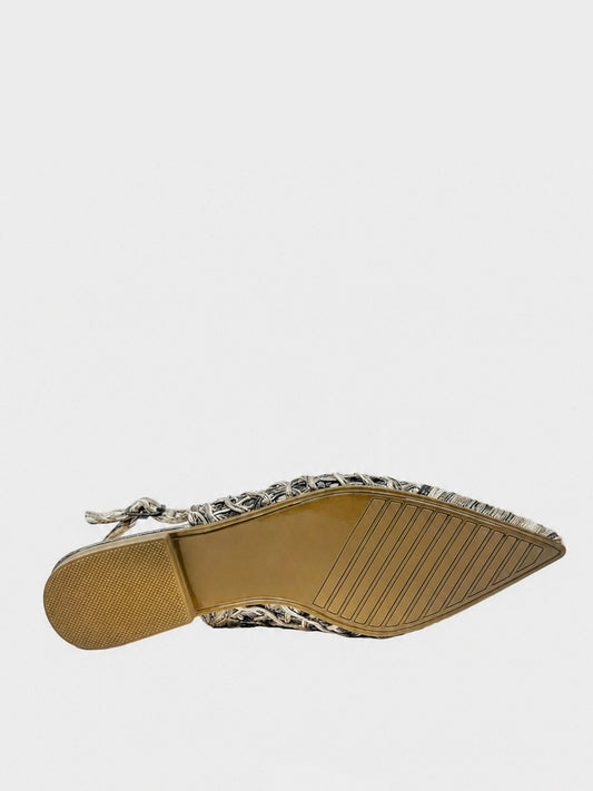Ballerine con punta - BA2605