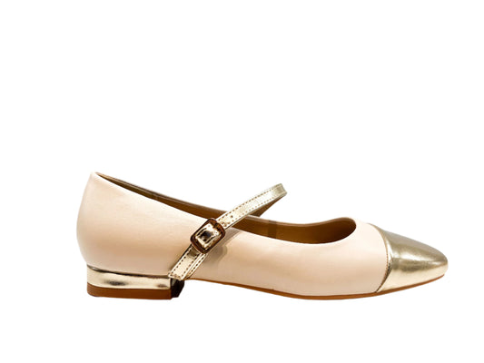 Ballerine a Punta - BA2501